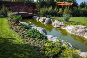 Teichbau - Gartenteich - Pool