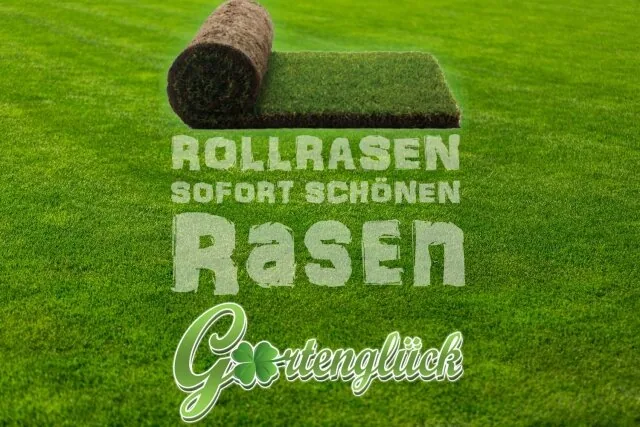 Rollrasen verlegt